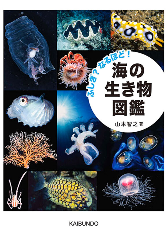 『ふしぎ？なるほど！海の生き物図鑑』山本智之 著